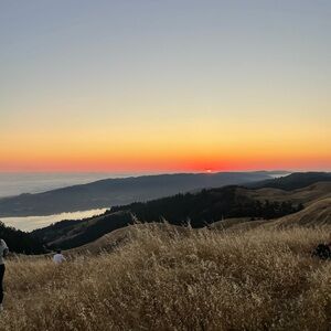 Meet your Posher, Maxine